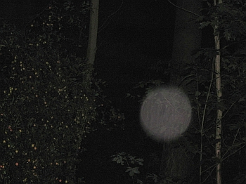 Orb 13