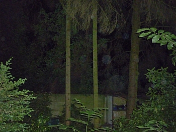 Orb 10