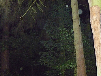 Orb 2