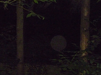 Orb 3