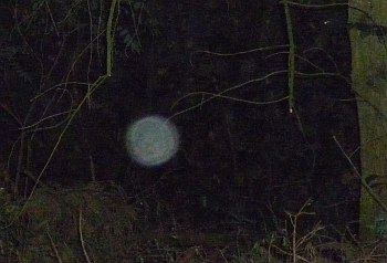 Orb 4