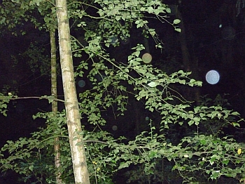 Orb 14