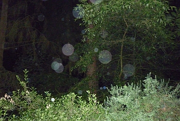 Orb 11